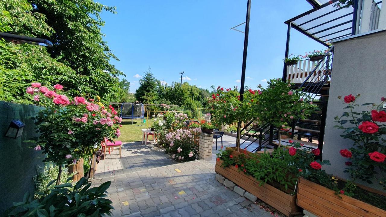 David Home 56 Znojmo Exterior photo